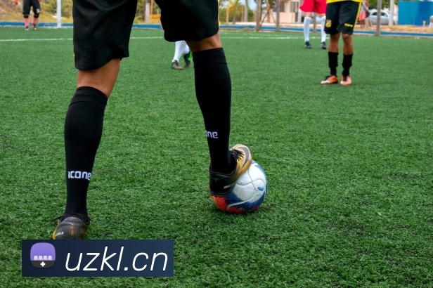 从拜仁与里昂的欧战交锋看足球战术演变：数据深度解读